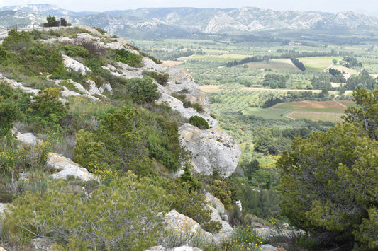 Chateau des Baux-de-Provence