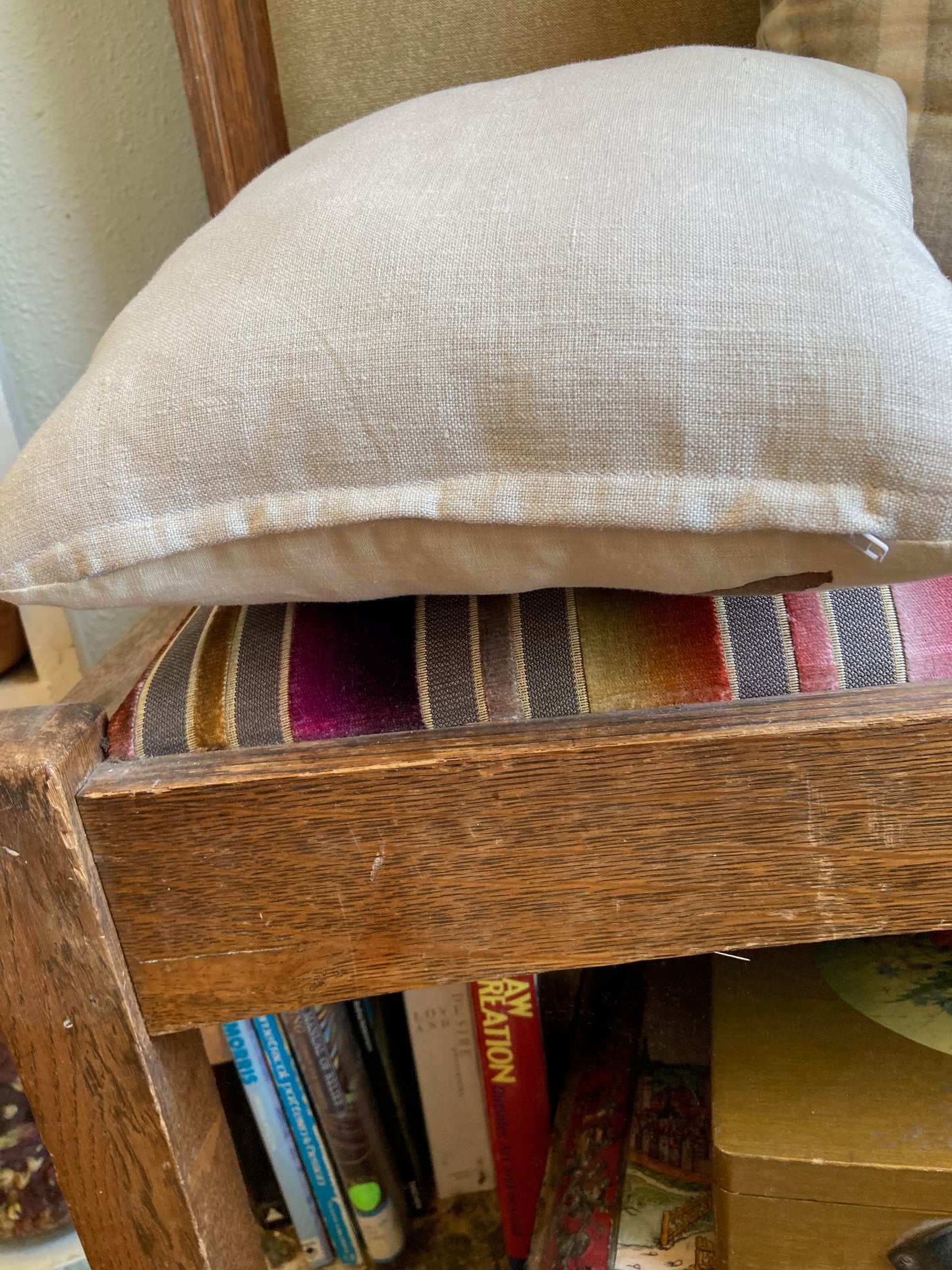 Feather Print Pillow