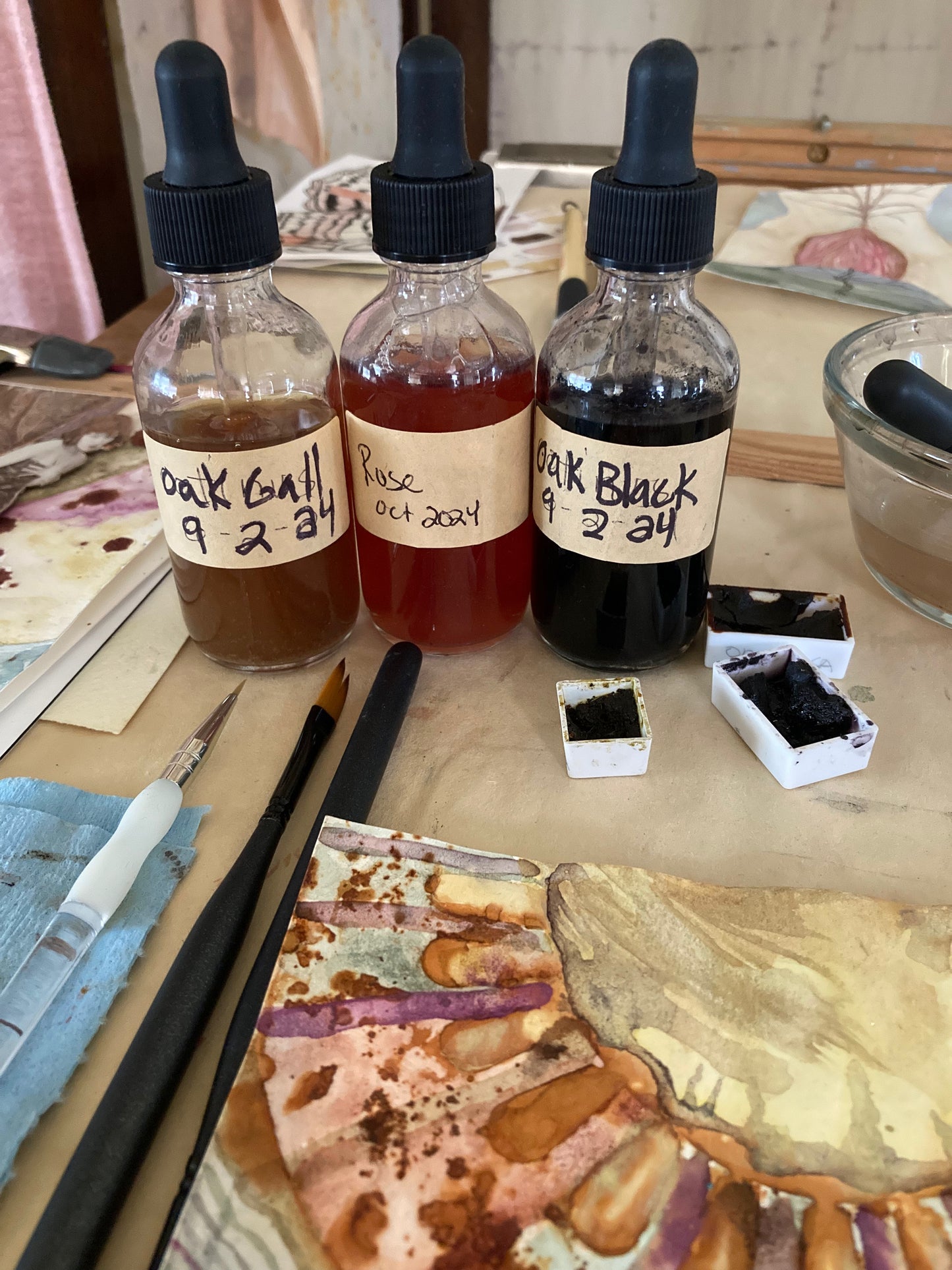 Ink and Pigment Extraction