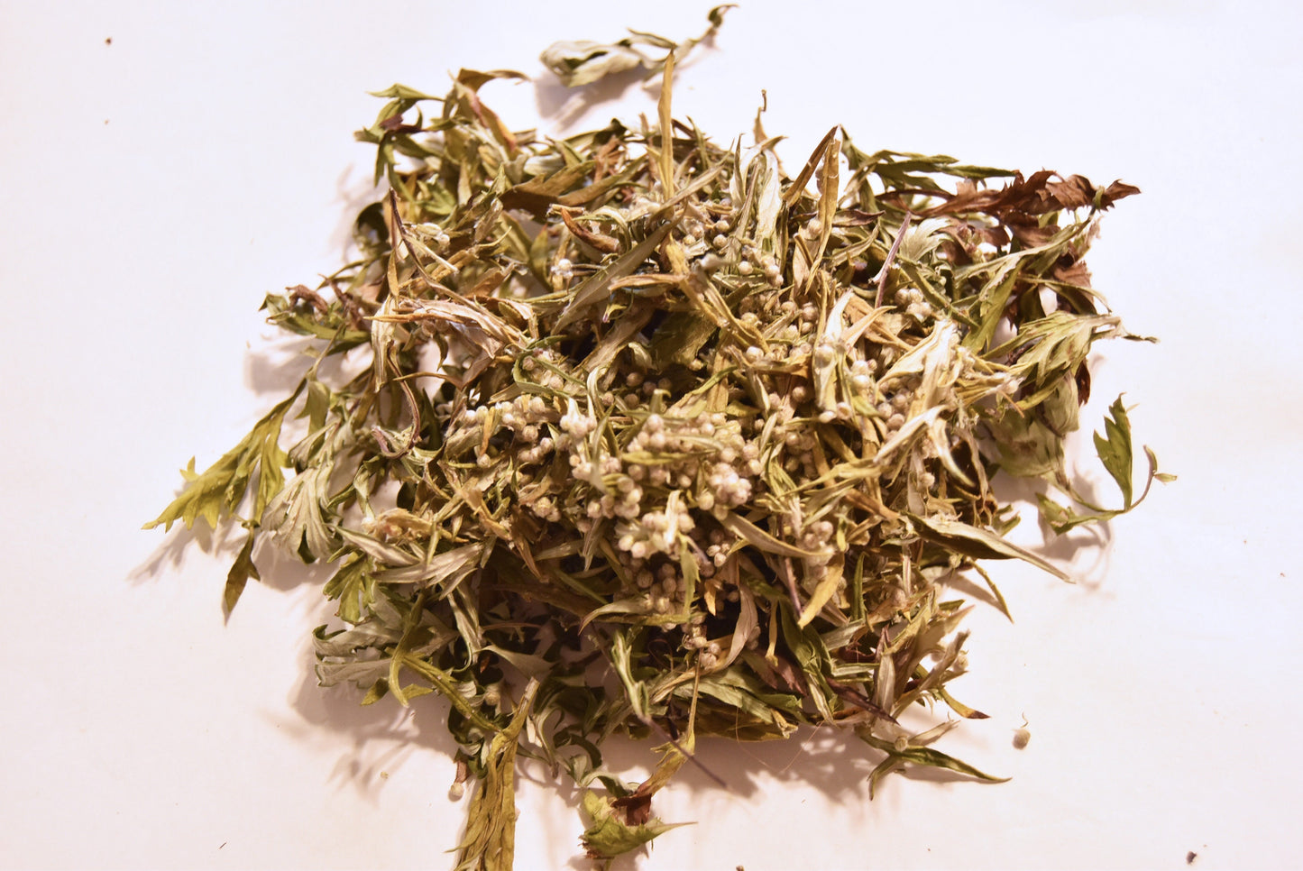 Mugwort - dried herb - organic