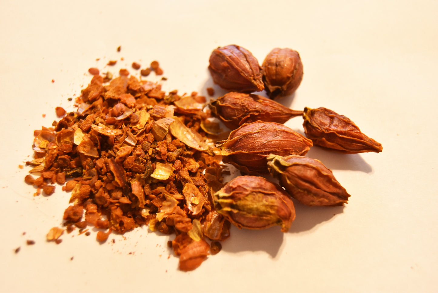 Gardenia fruit - Natural Dye - Herb