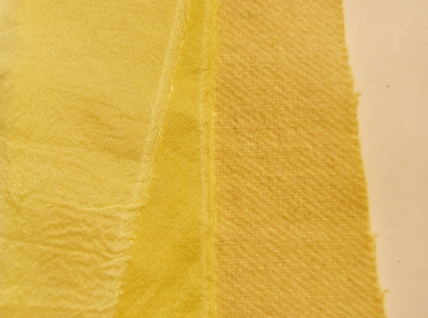 Gardenia fruit - Natural Dye - Herb