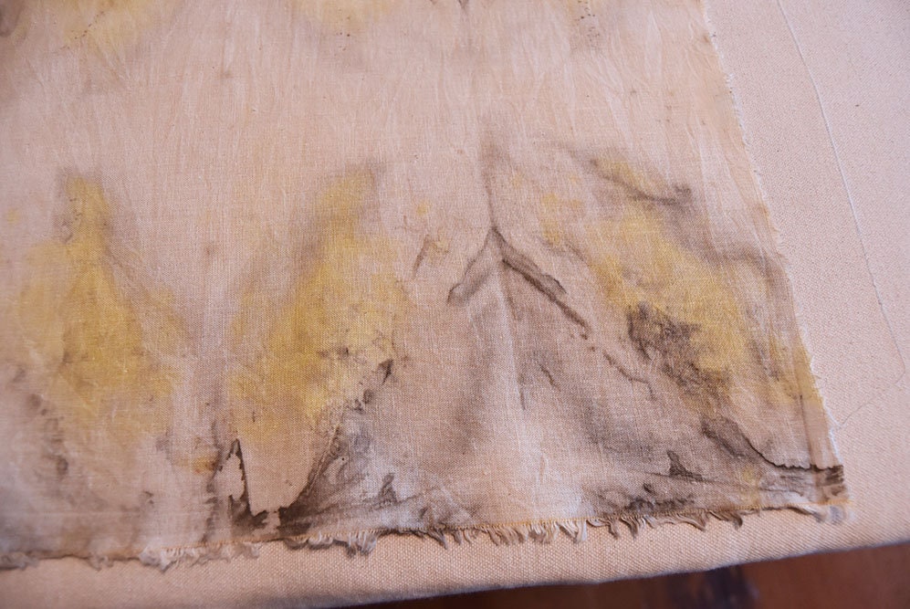 Plant dyed textile- botanical print