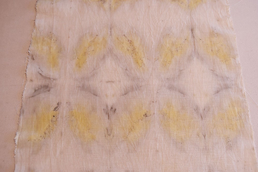 Plant dyed textile- botanical print