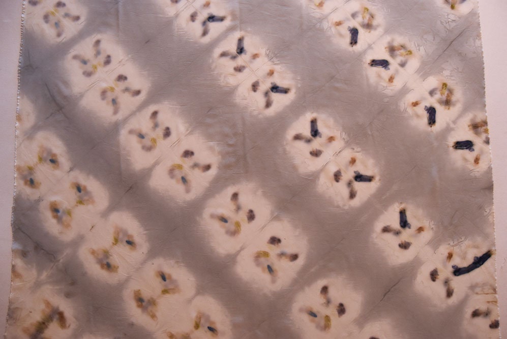 natural dyed fabric- silk - botanical print