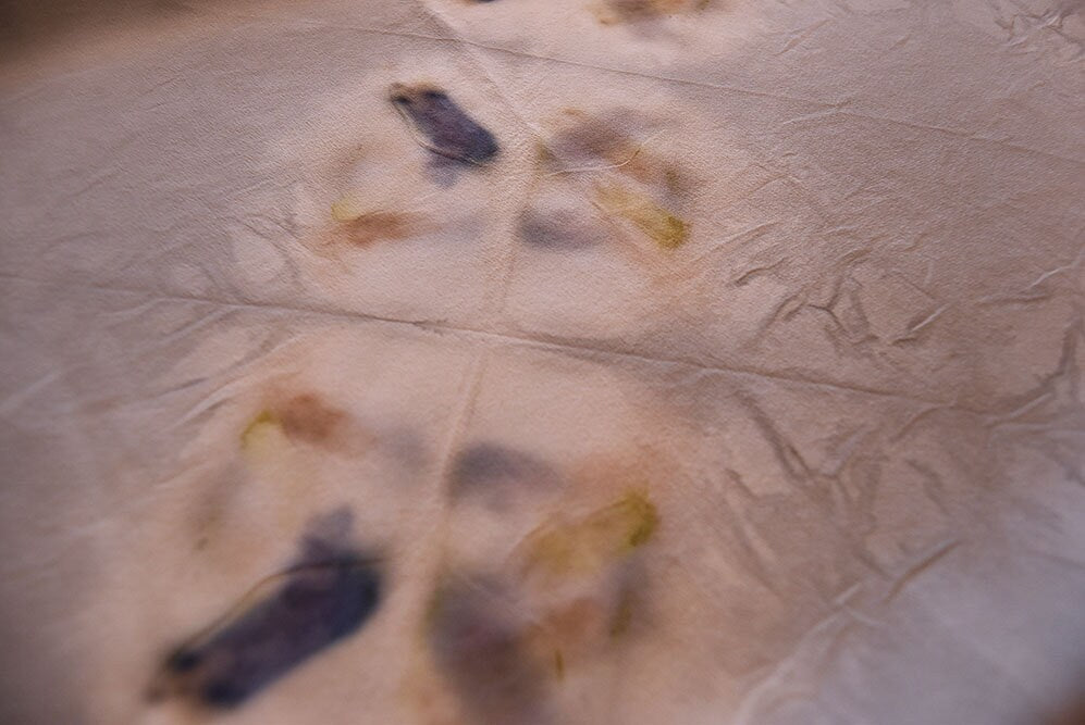 natural dyed fabric- silk - botanical print