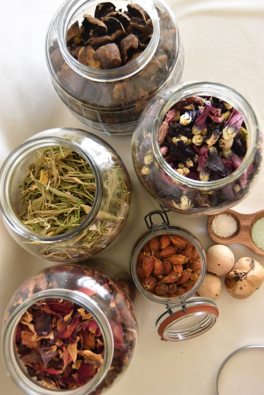 Natural Dye Kit - Winter Kit -