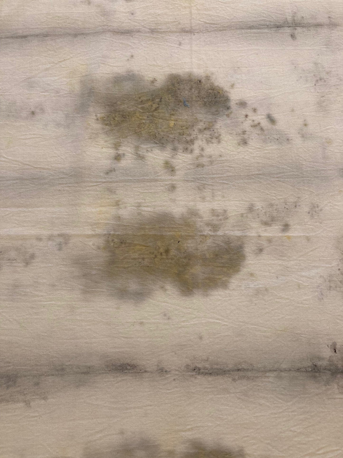 Botanical print textile, organic cotton, plant dye