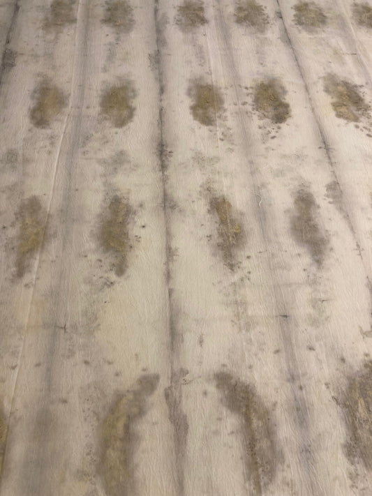 Botanical print textile, organic cotton, plant dye