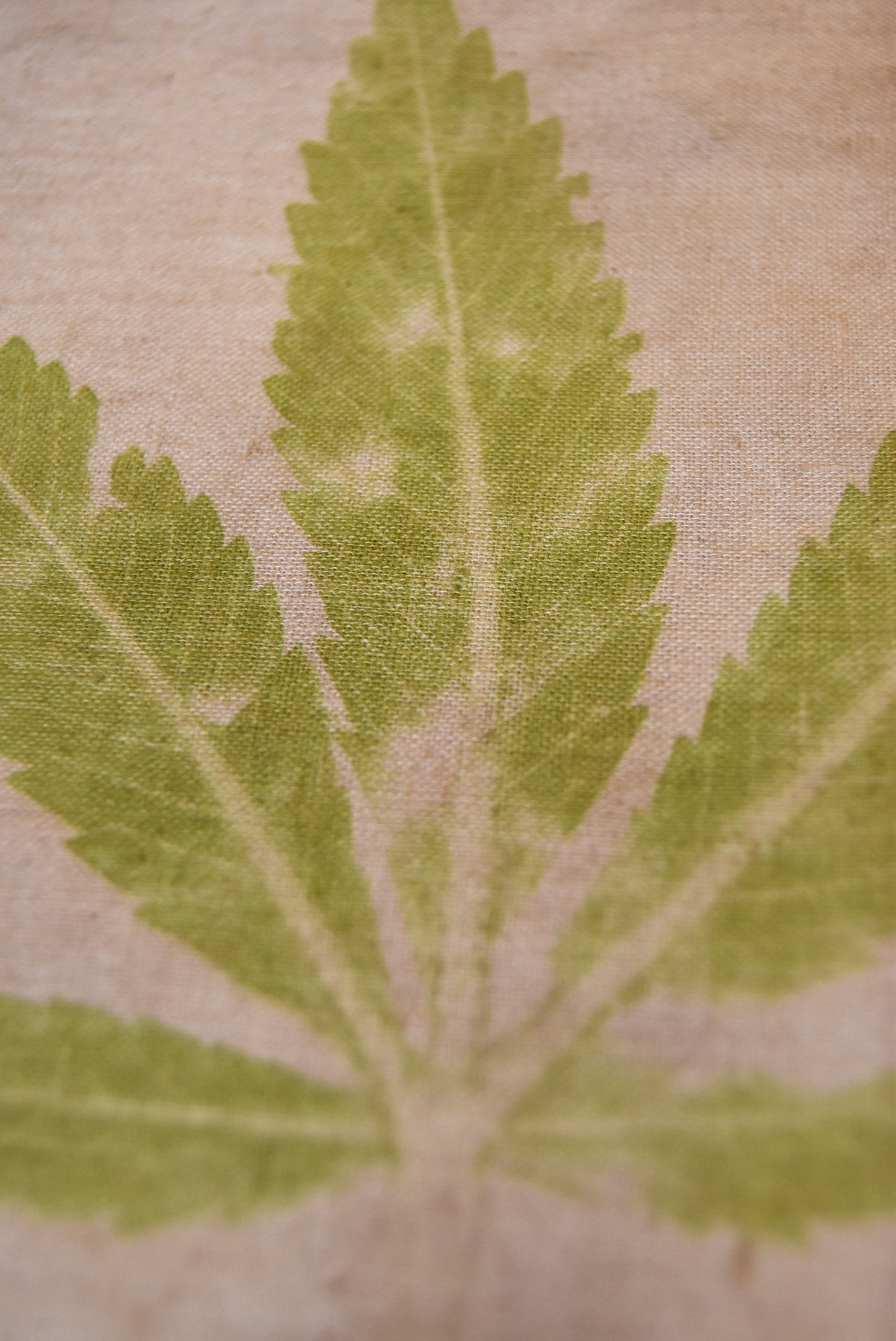 Tataki zome - Plant prints - organic - textile- cannabis