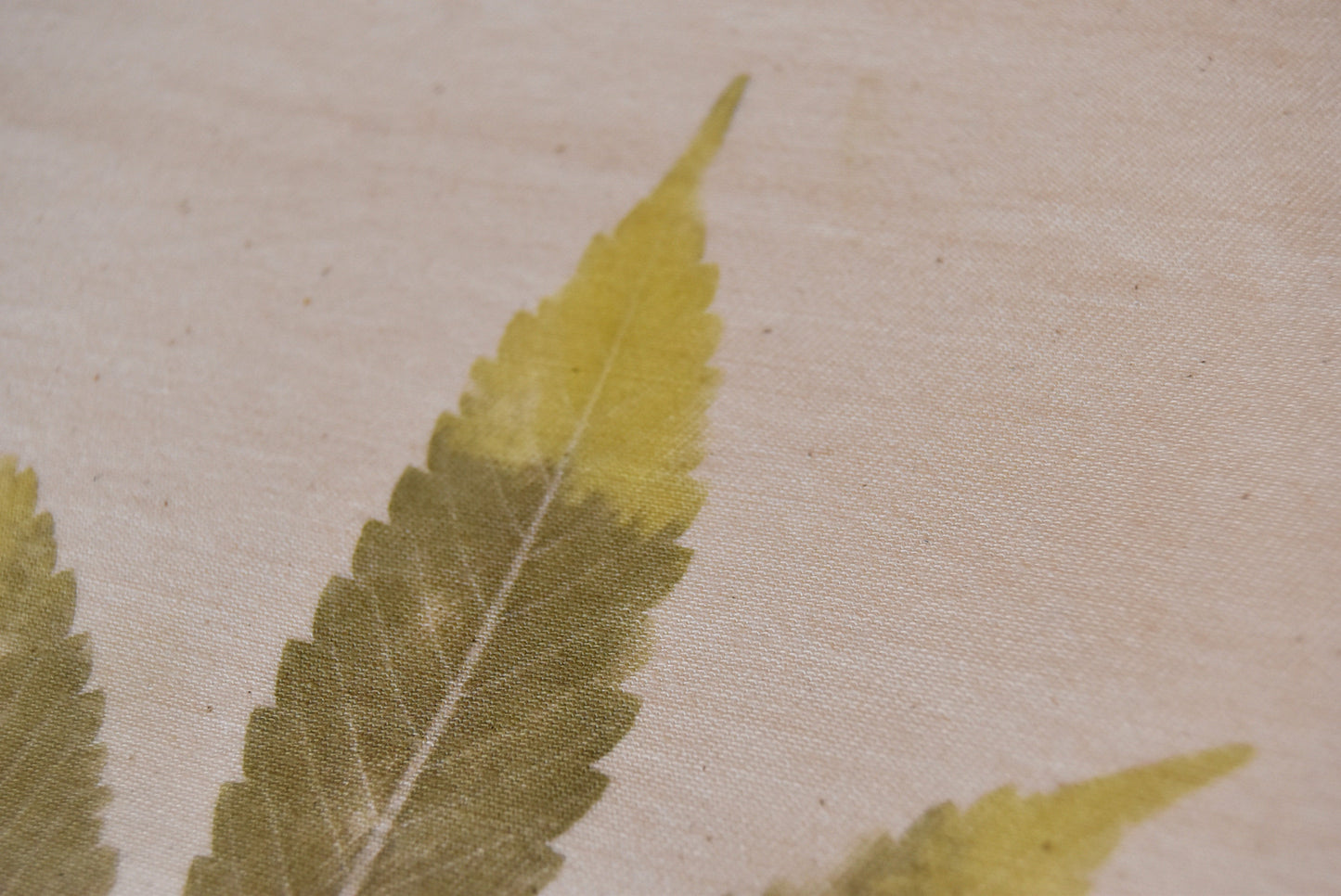 Tataki zome - Plant prints - organic - textile- cannabis