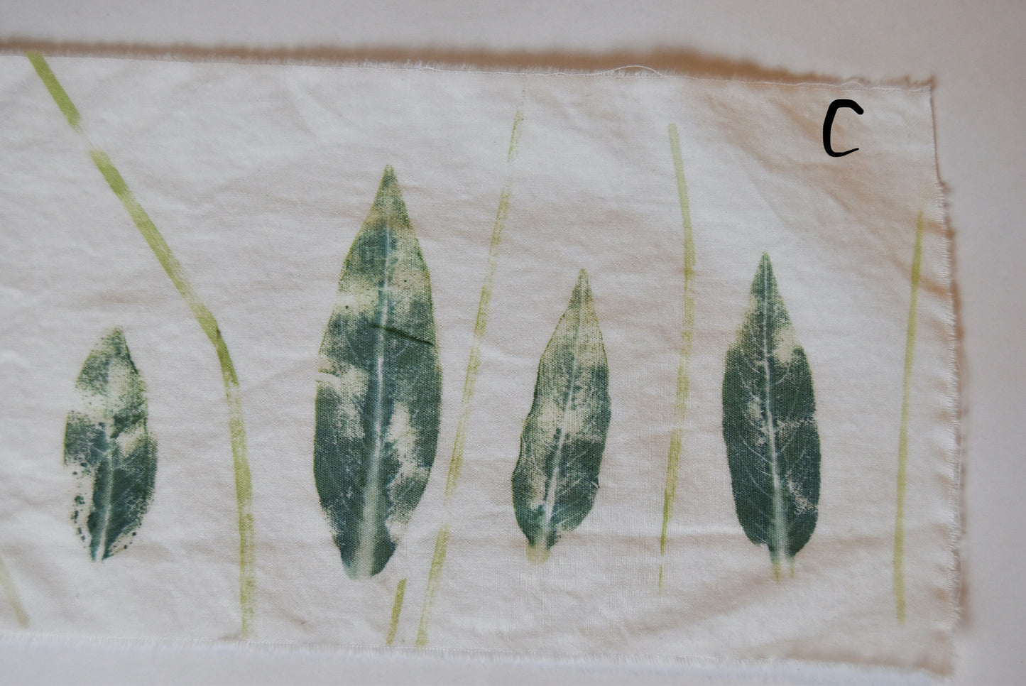 Tataki zome - Plant prints - organic - textile- cannabis