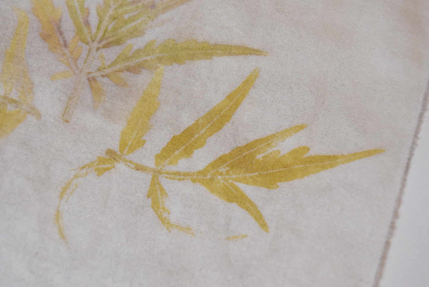 Tataki zome - Plant prints - organic - textile- cannabis