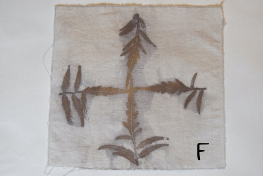 Tataki zome - plant print- textile- sumac