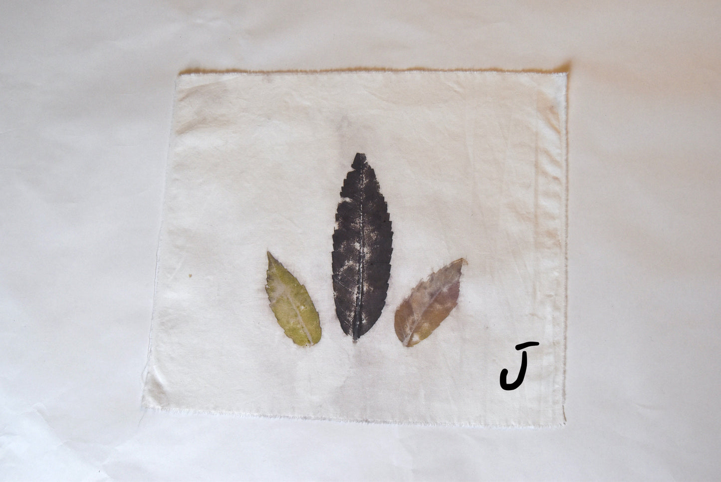 Tataki zome - plant print- textile- sumac