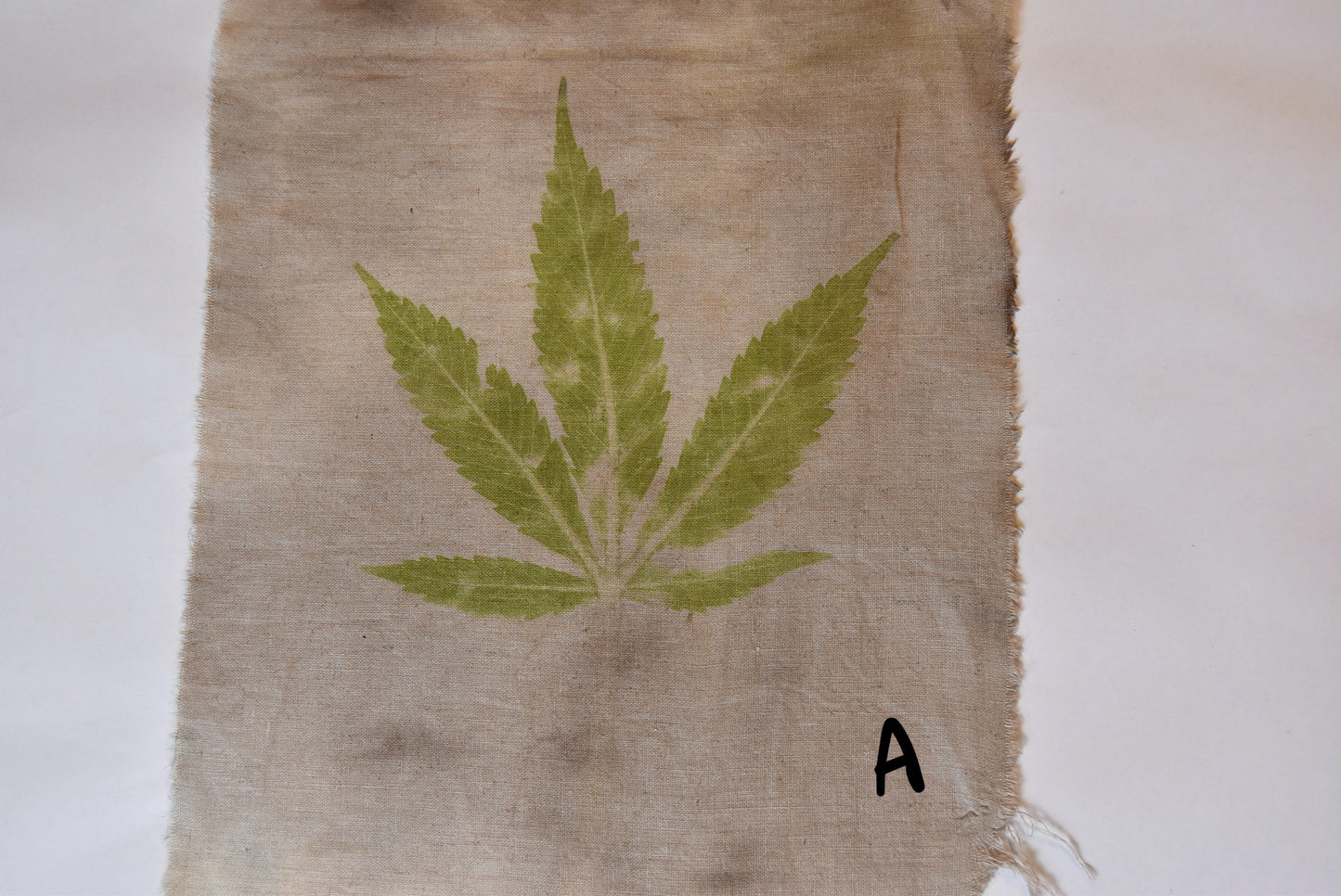 Tataki zome - Plant prints - organic - textile- cannabis