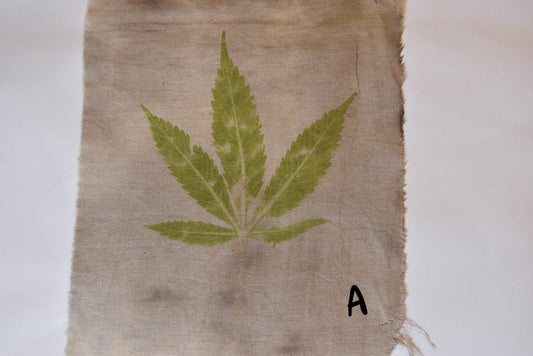 Tataki zome - Plant prints - organic - textile- cannabis