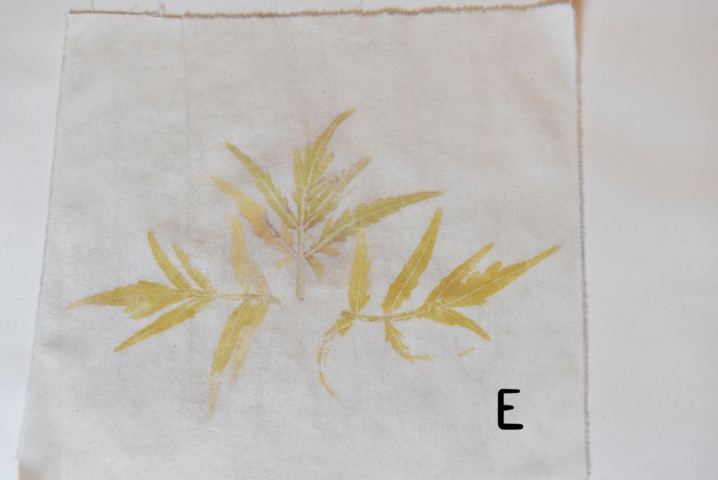 Tataki zome - Plant prints - organic - textile- cannabis