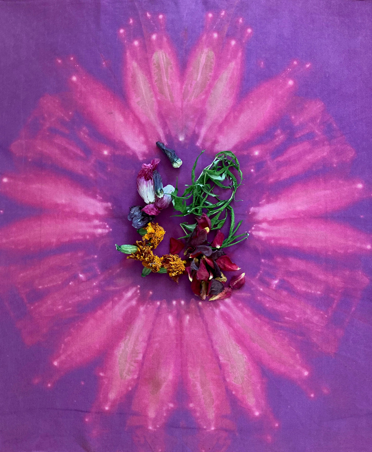 Visual Art – RAW Textiles