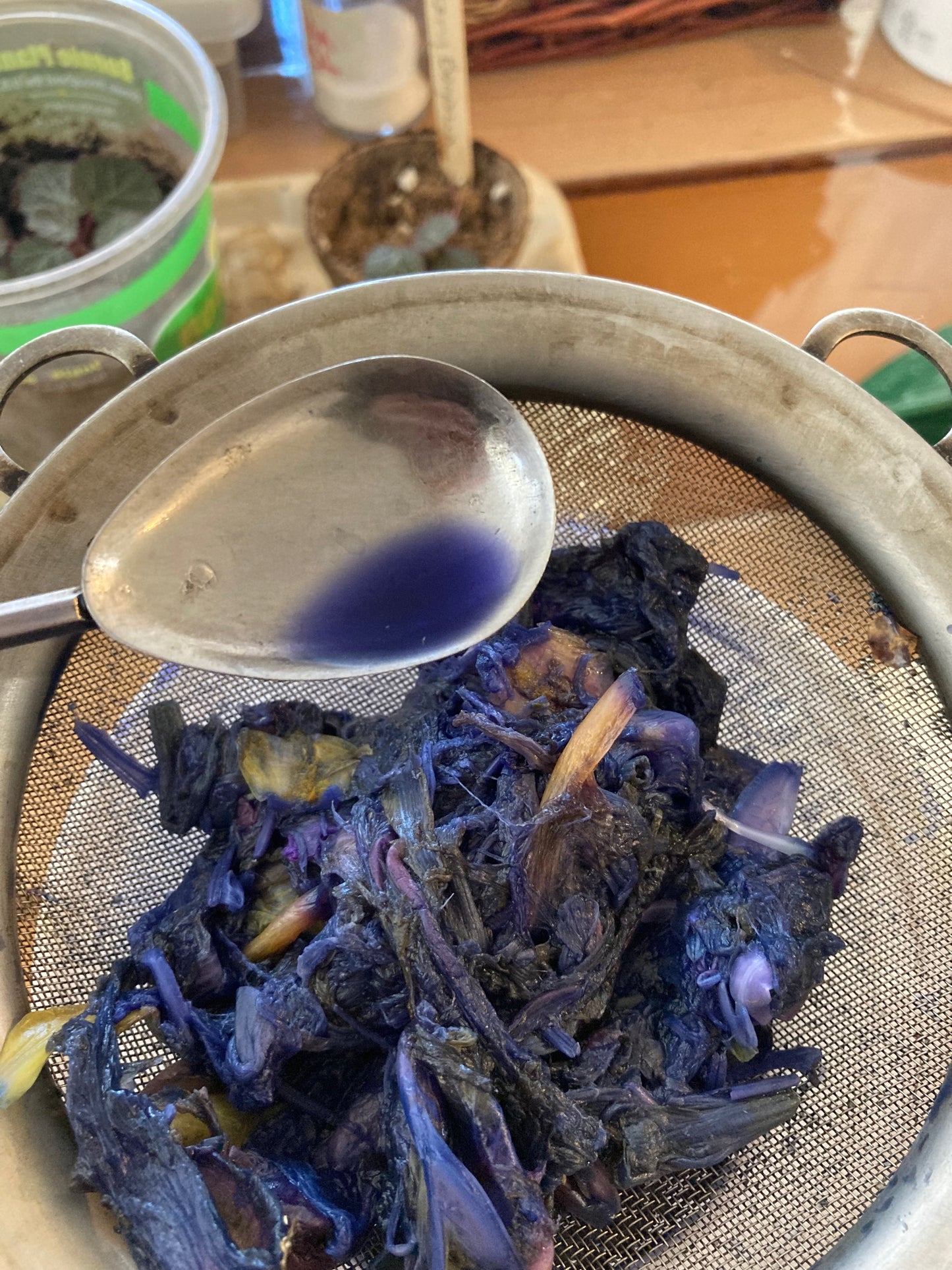 Plant Based Ink - One Ounce