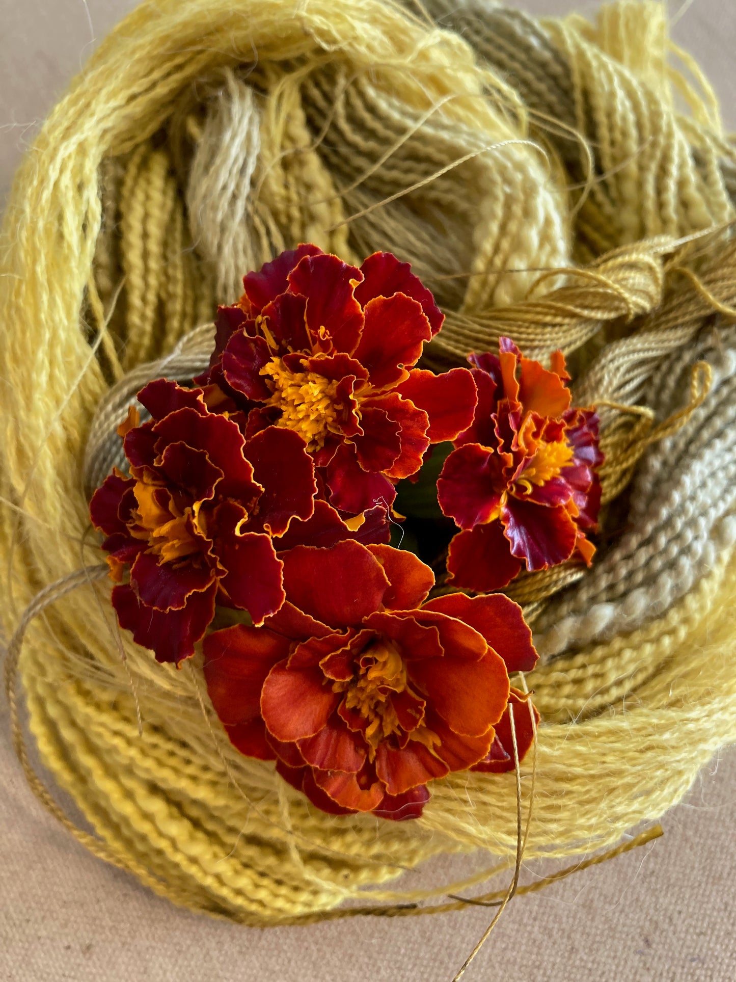 Dried Marigold Flowers - Dye