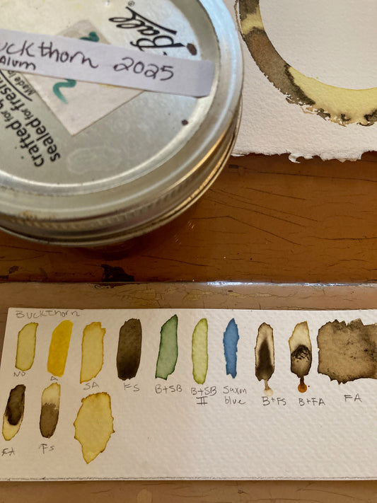 Ink and Pigment Extraction