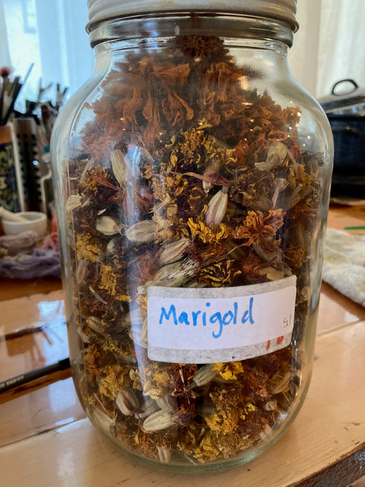 Dried Marigold Flowers - Dye