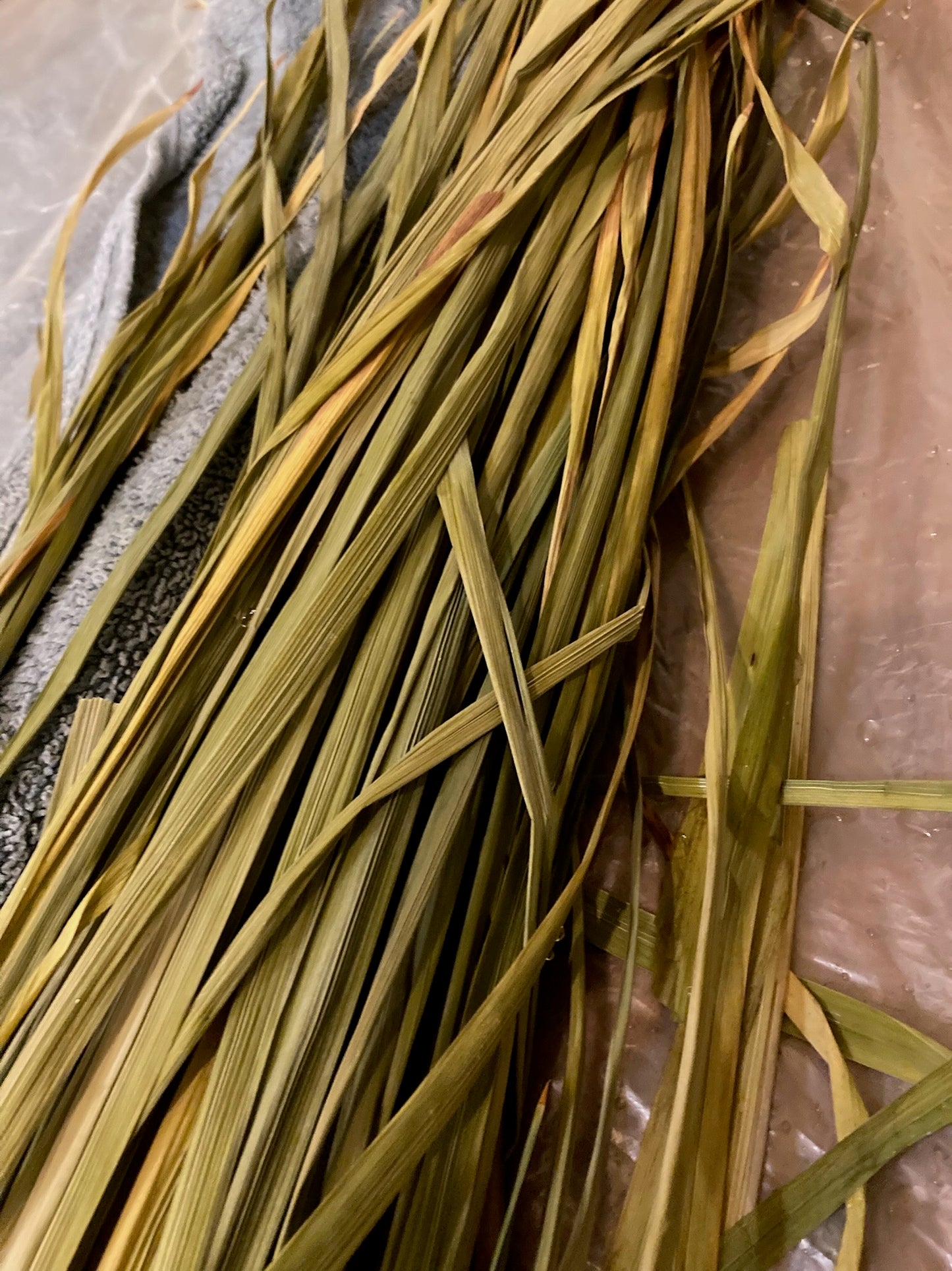 Breath of Fire Horse - Community Cordage and Sound Healing