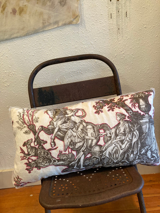 Pillows - toile, linen