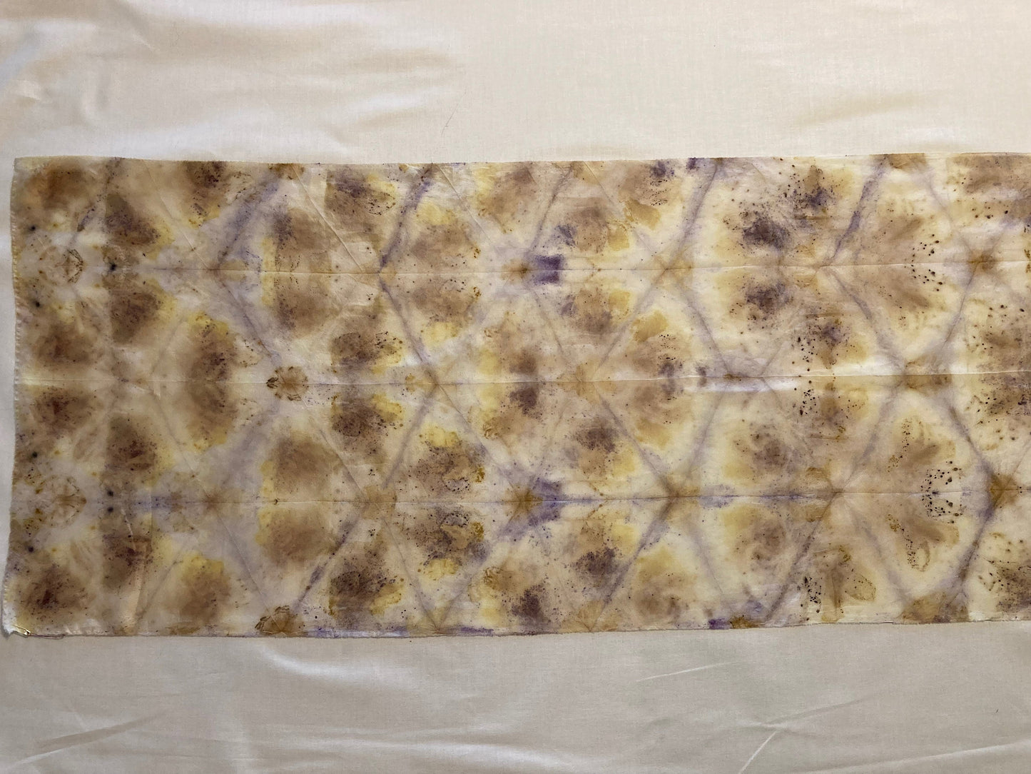 Botanical Print fabric- Silk- natural dye