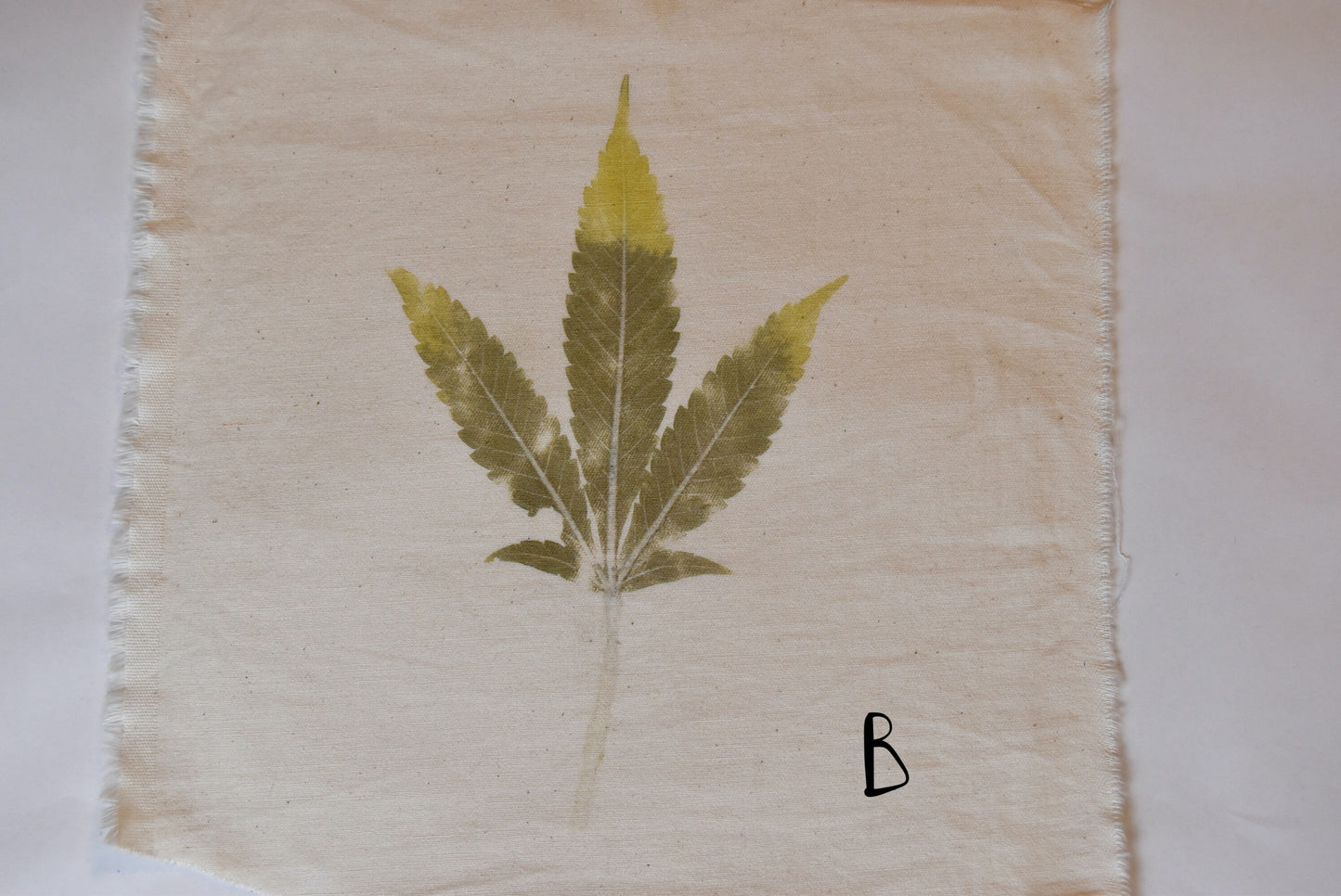 Tataki zome - Plant prints - organic - textile- cannabis