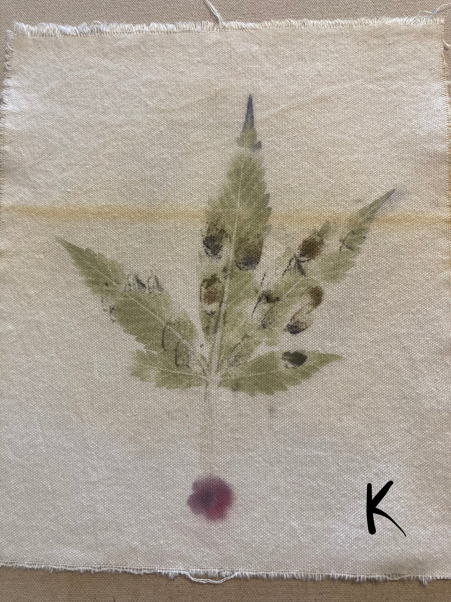 Tataki zome - Plant prints - organic - textile- cannabis