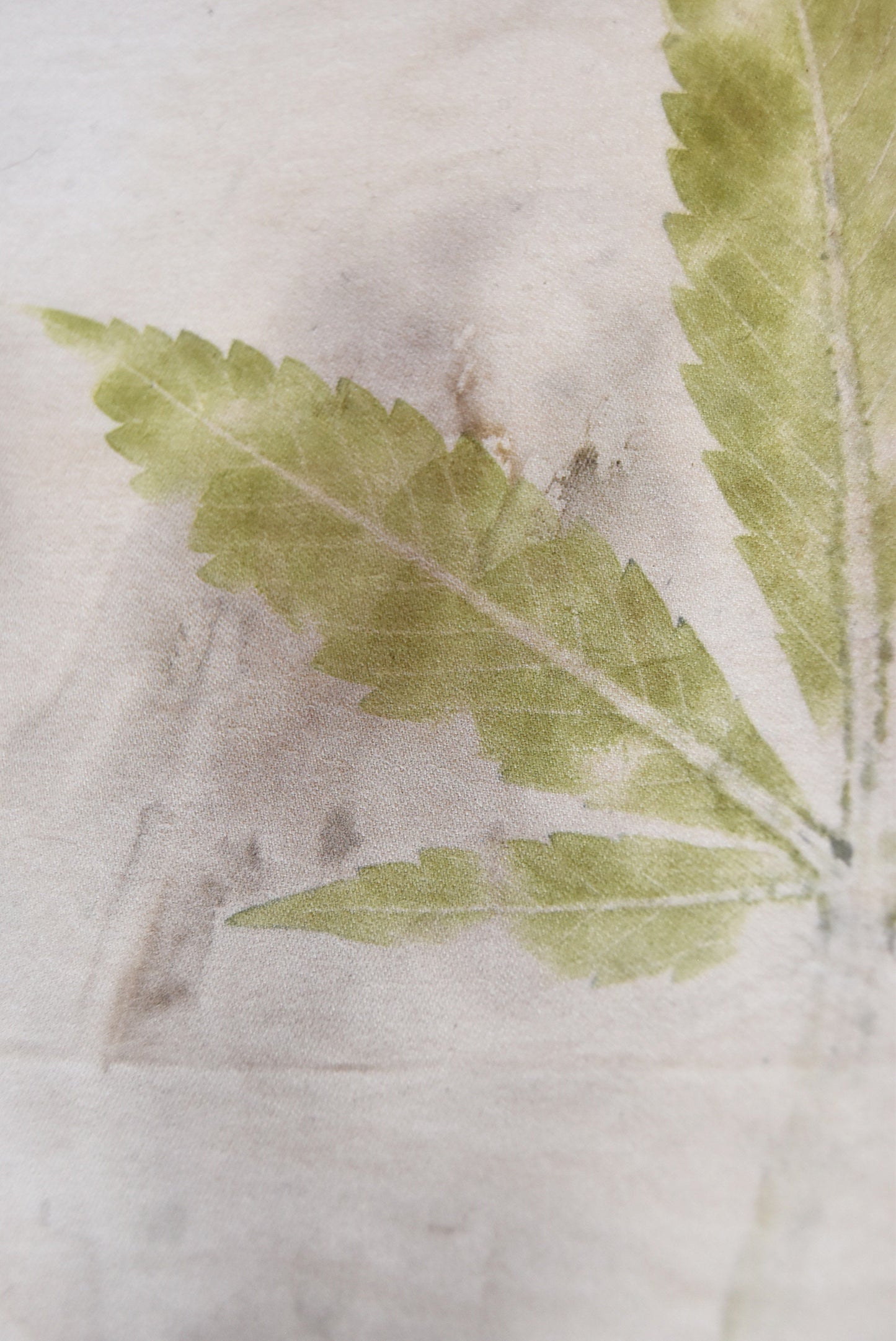 Tataki zome - plant print - cannabis- cotton
