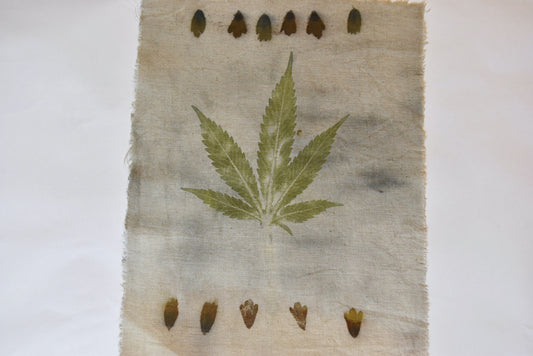 Tatakizome- Pattern- cotton- plant print- cannabis