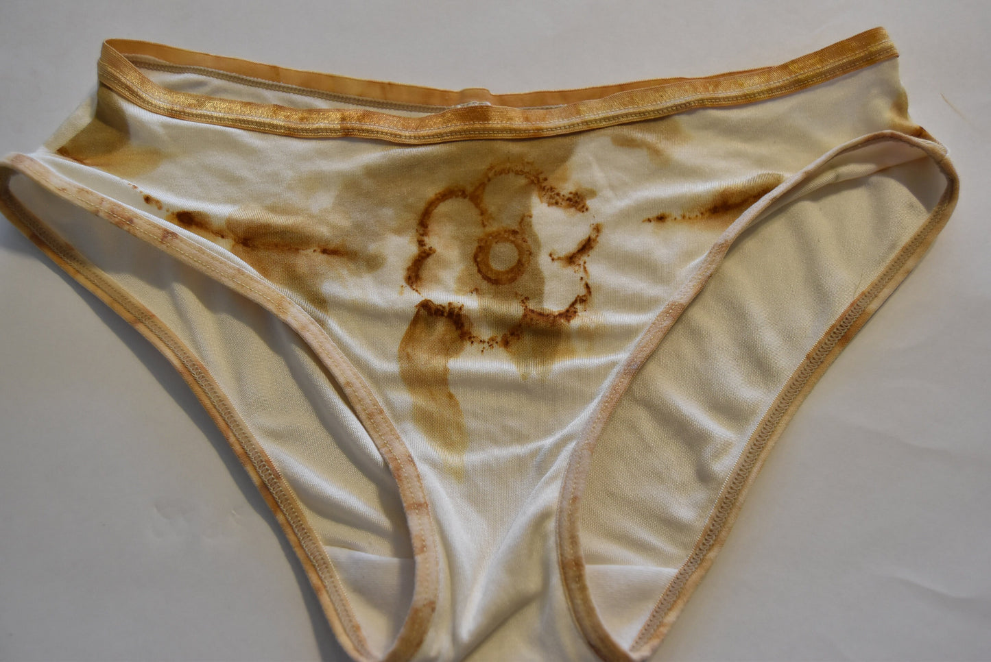 Rust Bra and Panties- silk lingerie- natural dyed
